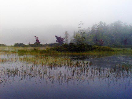Squam Sound recording studio: Early morning view of the cove near the studio.